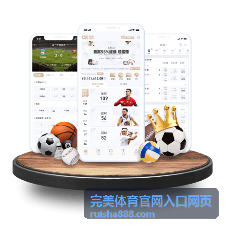 完美体育官网入口网页密码与验证方式设置示意