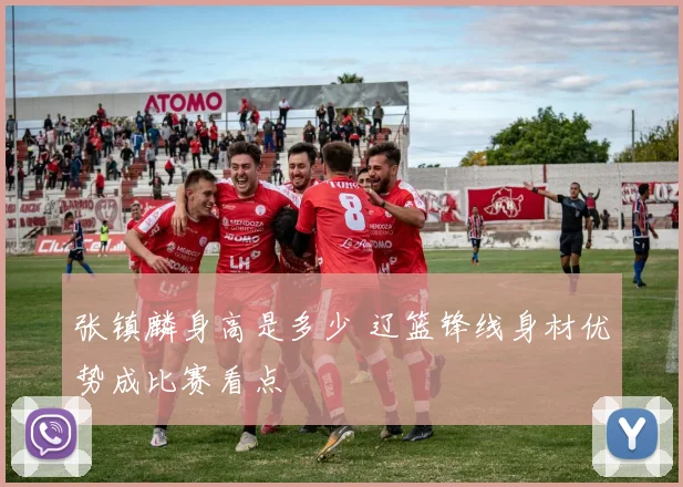 张镇麟身高是多少 辽篮锋线身材优势成比赛看点