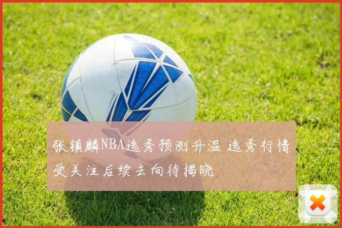 张镇麟NBA选秀预测升温 选秀行情受关注后续去向待揭晓