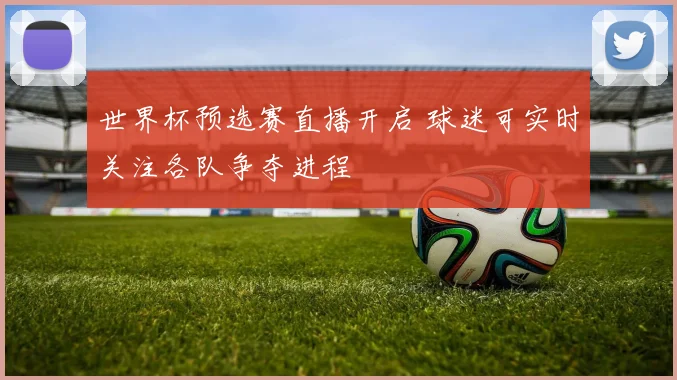 世界杯预选赛直播开启 球迷可实时关注各队争夺进程
