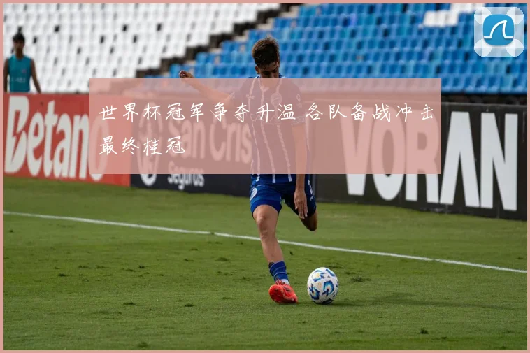 世界杯冠军争夺升温 各队备战冲击最终桂冠
