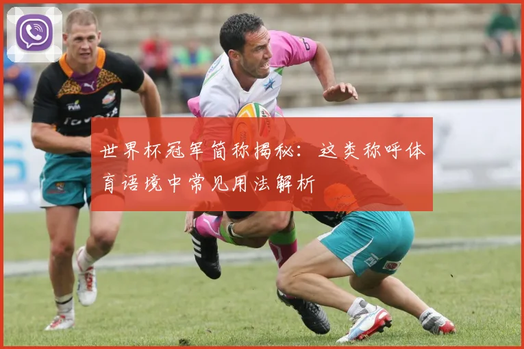 世界杯冠军简称揭秘：这类称呼体育语境中常见用法解析