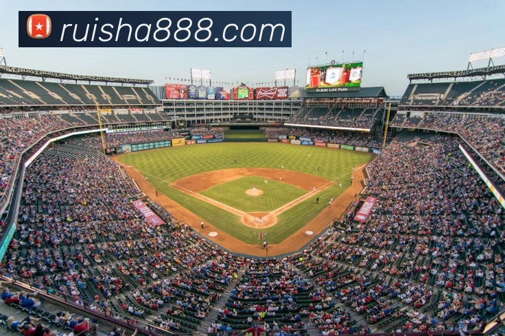 企业概况