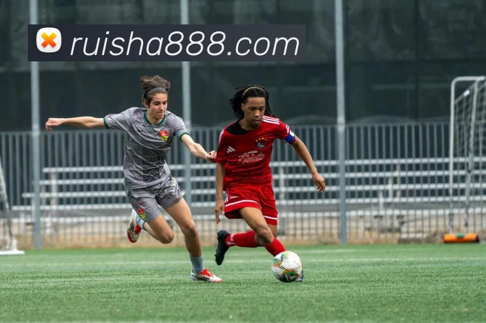 数据防护可视化